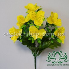 Орхидея с подкустником, 30см