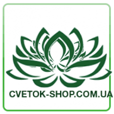 R-Ромашка, 52см  